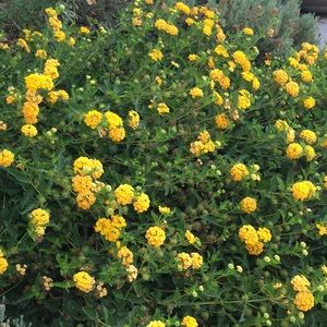 Meet your Posher, Anne